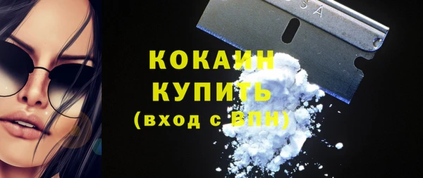 шишки Надым