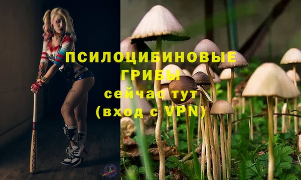 кокаин Нефтекумск