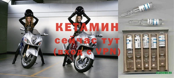 шишки Надым